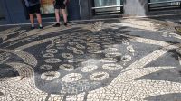 Ponta Delgada, Ananasmotiv im Strassenpflaster