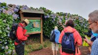 Insel Sao Miguel, Wanderung Sete Cidades
