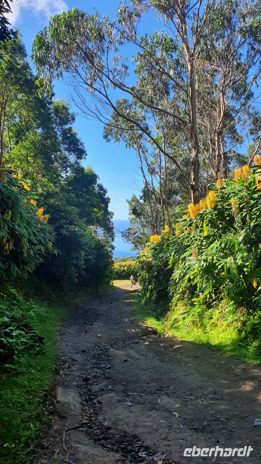 Wanderung zum Feuersee
