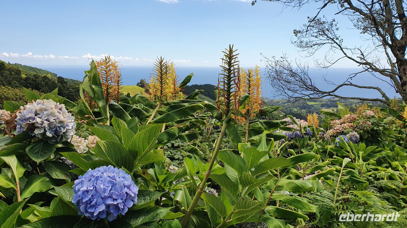 Wanderung Feuersee durch einen Blumengarten