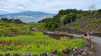Insel Pico, Wanderung im Weinanbaugebiet