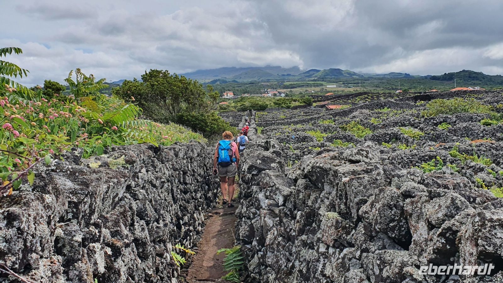 Insel Pico, Wanderung im Weinanbaugebiet