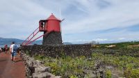 Insel Pico, alte Windmühle, wo einst Getreide gemahlen wurde
