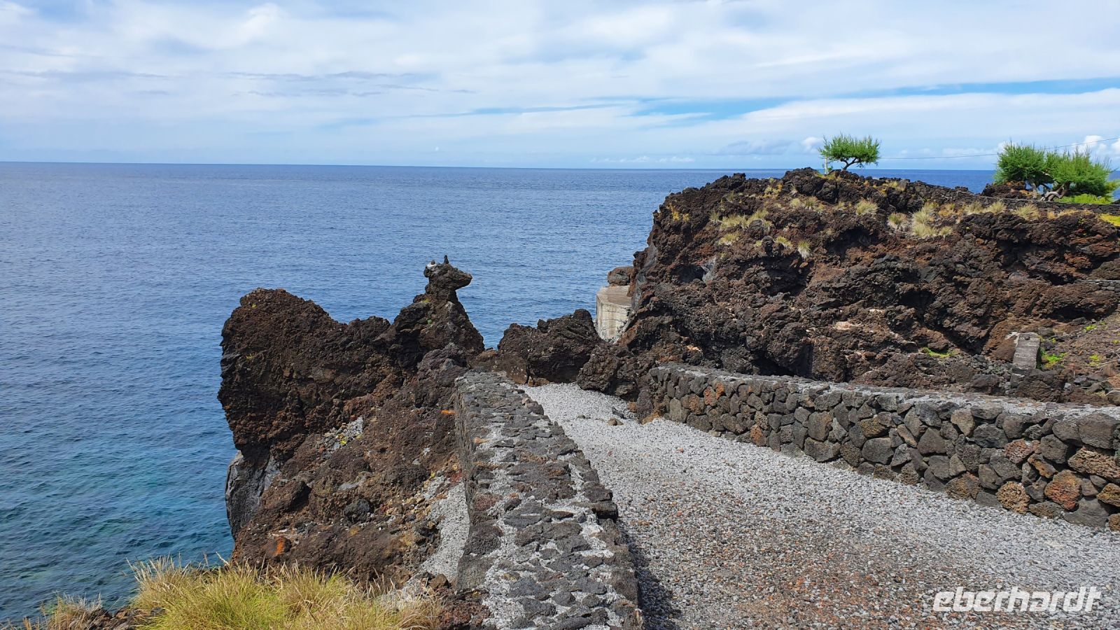 Insel Pico, Cacherro, kleines Hündchen
