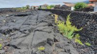 Insel Pico, Lajido, alte Wagenspuren im Lavagestein
