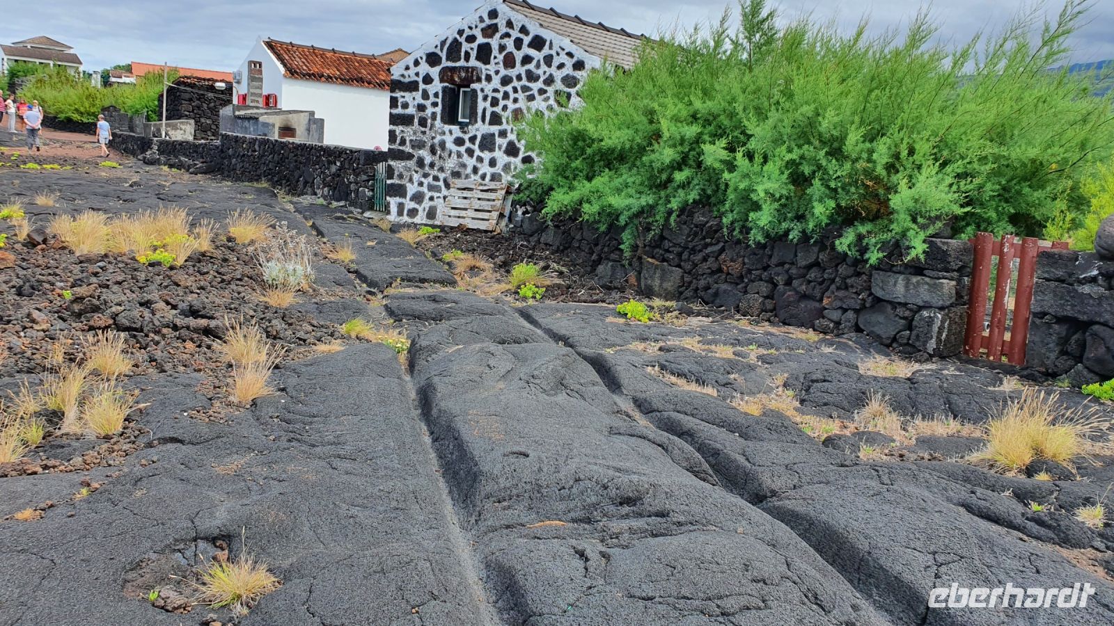 Insel Pico, Lajido, alte Wagenspuren im Lavagestein