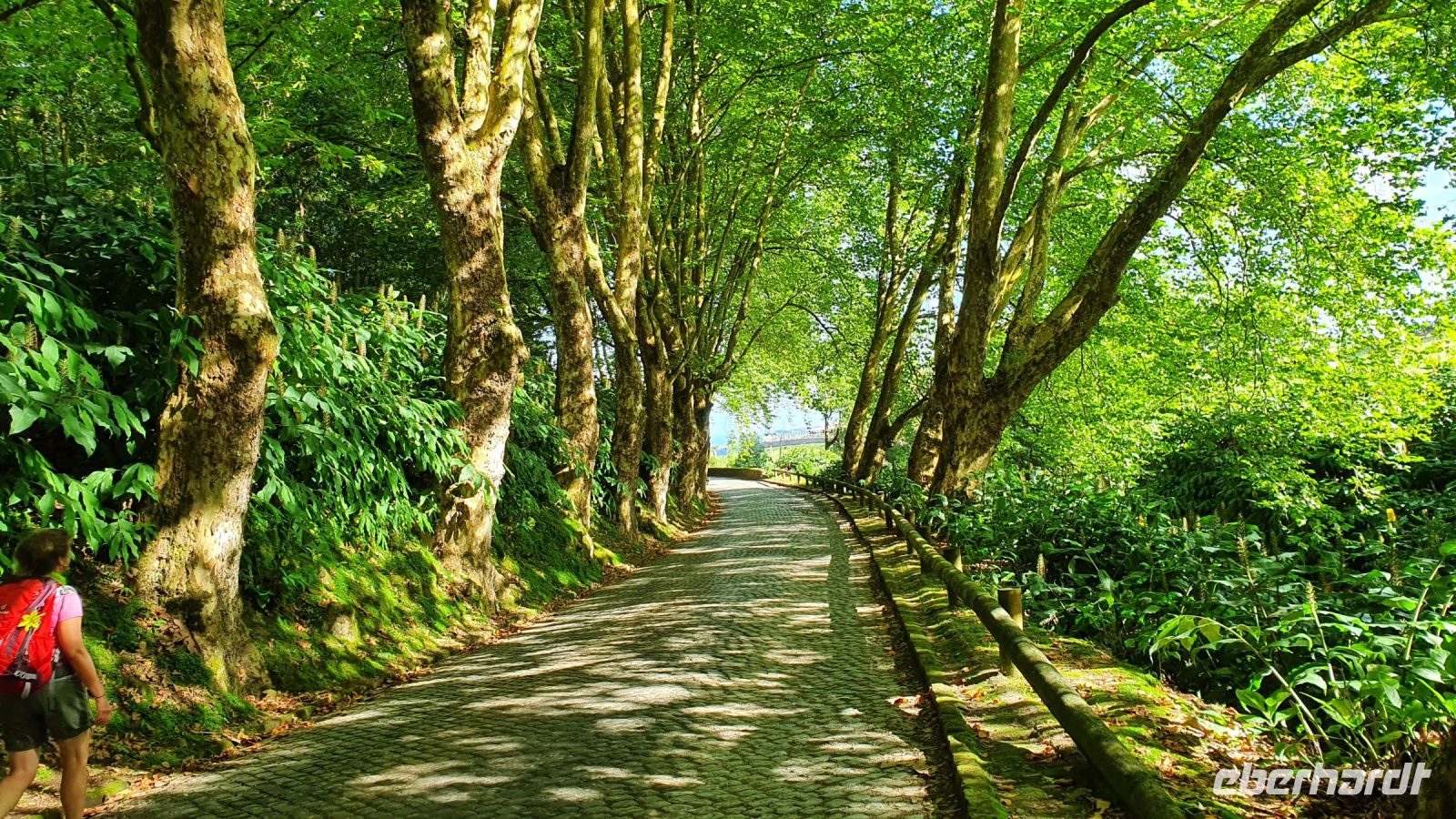 Wanderung Caldeiras da Ribeira Grande