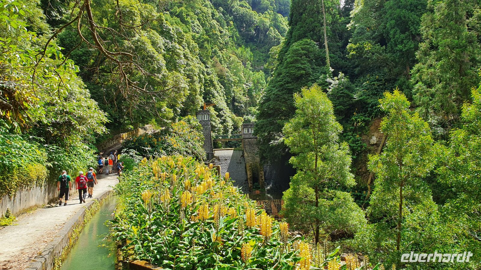 kurz vorm Staubecken