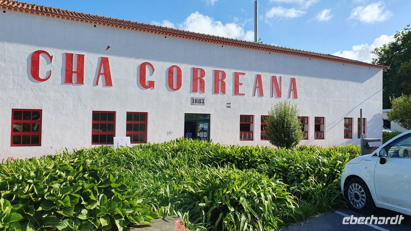 Teeplantage Gorreana