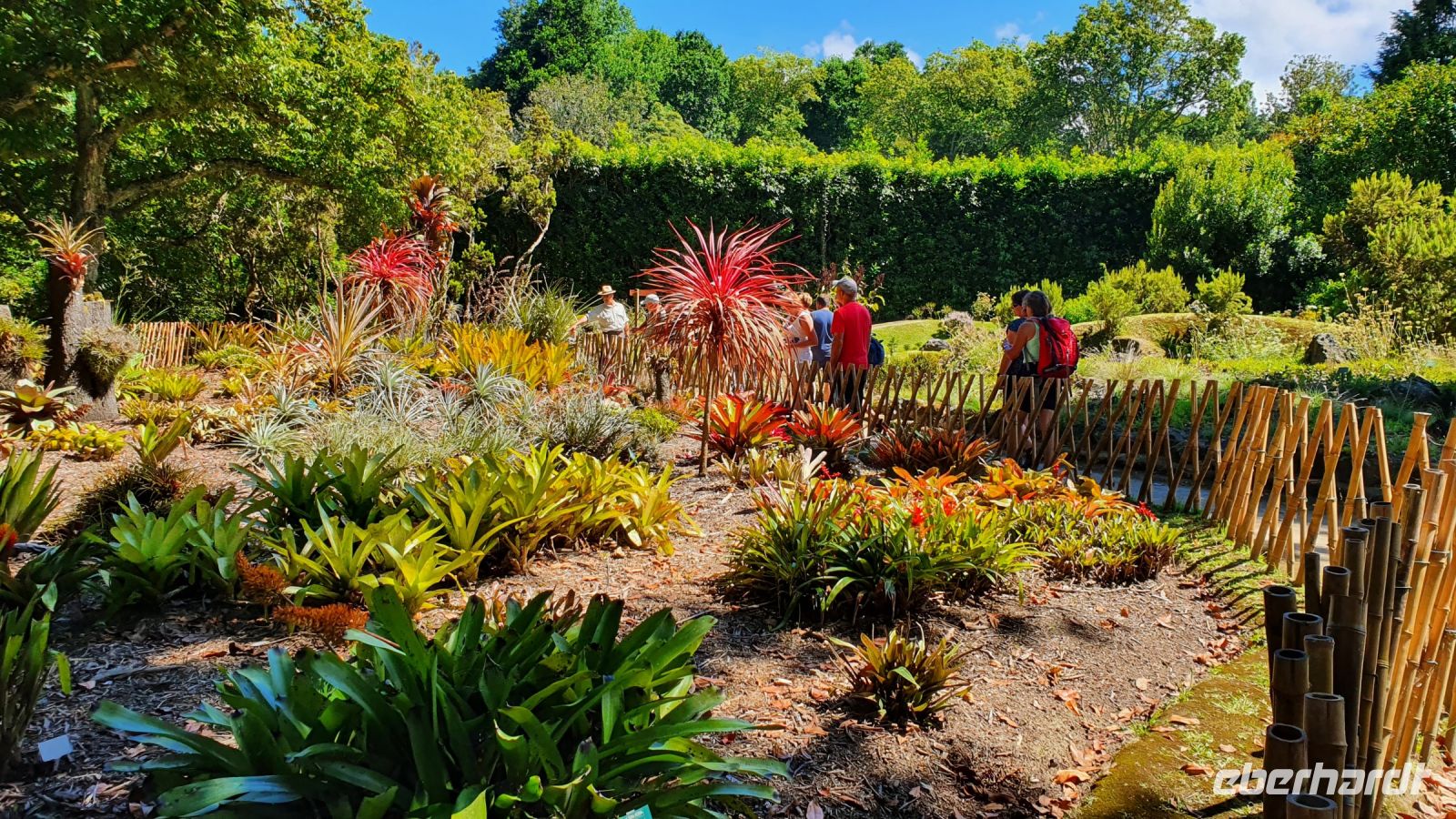 Furnas, Terra Nostra Park, Bromelien Garten