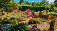 Furnas, Terra Nostra Park, Bromelien Garten