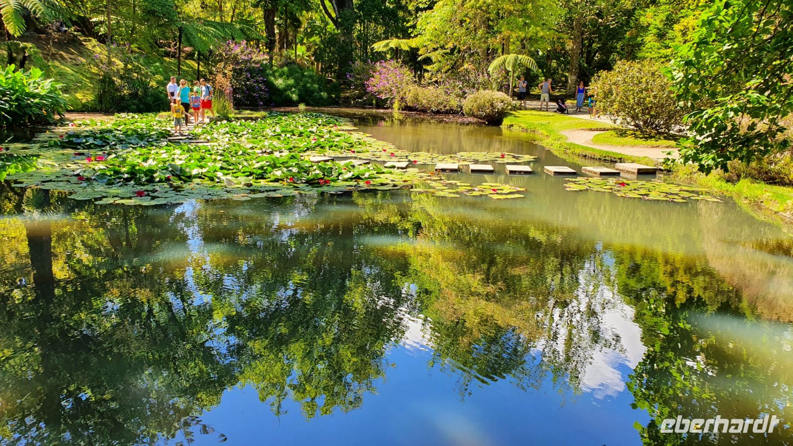 Furnas, Terra Nostra Park, Seerosenteich