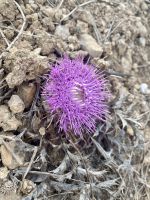 Tag 2 - Wanderung an der Westküste 