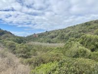 Tag 2 - Richtung Praia do Barranco 