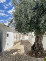 Tag 3 - Ortschaft Penina