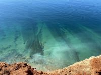 Tag 4 - Felsenküste 