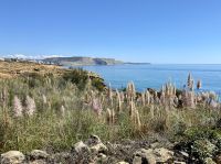 Tag 4 - Felsenküste 