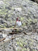 Tag 5 - Impressionen 