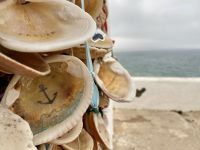 Tag 6 - Impressionen 