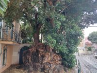 Lissabon Stadtteil Alfarma