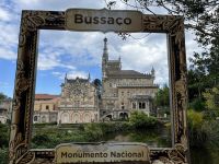 041 Parque de Bussaco