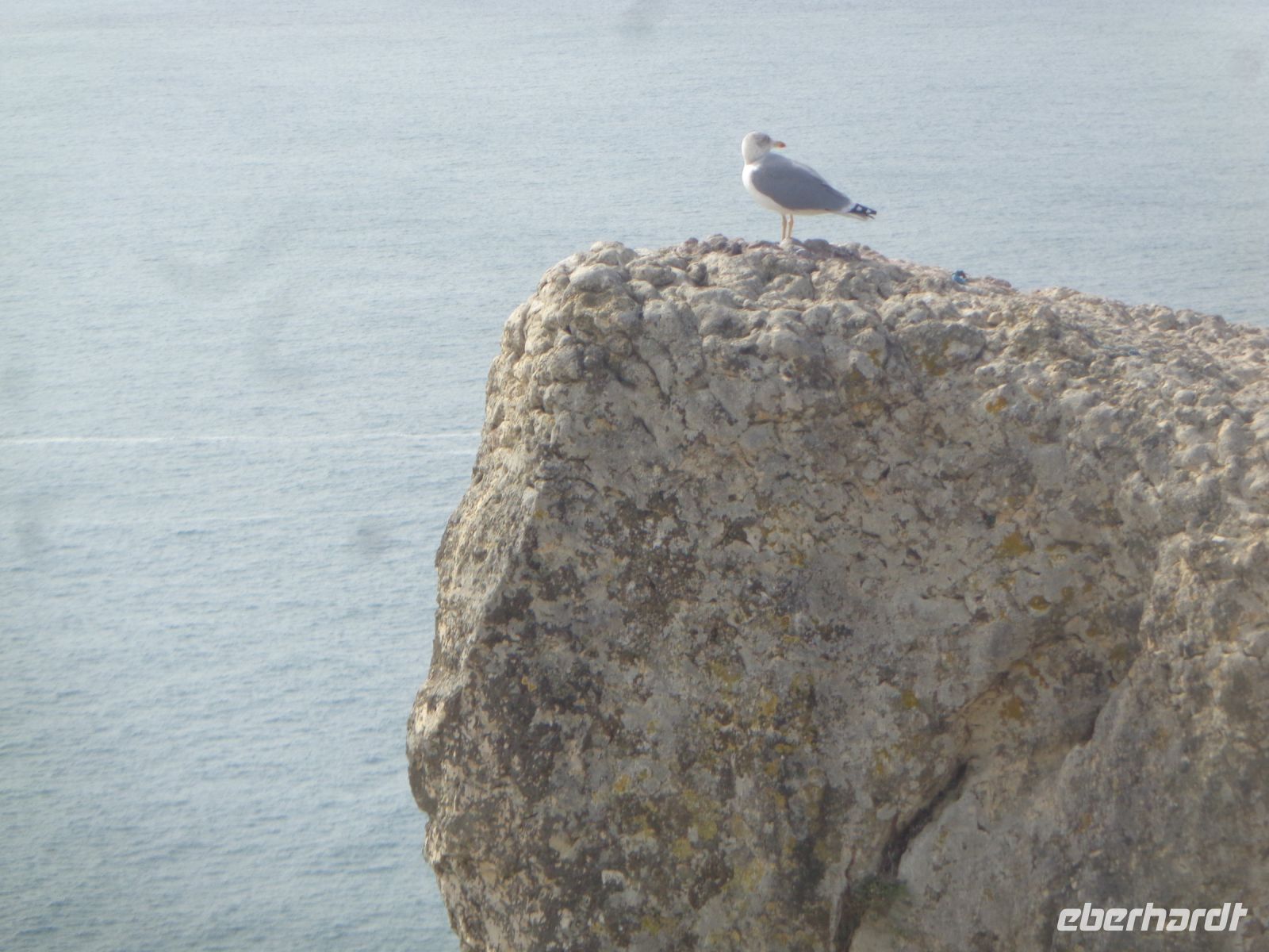 Nazaré - Blick von Sitio