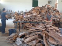 Azaruja, Korkfabrik Corticarte