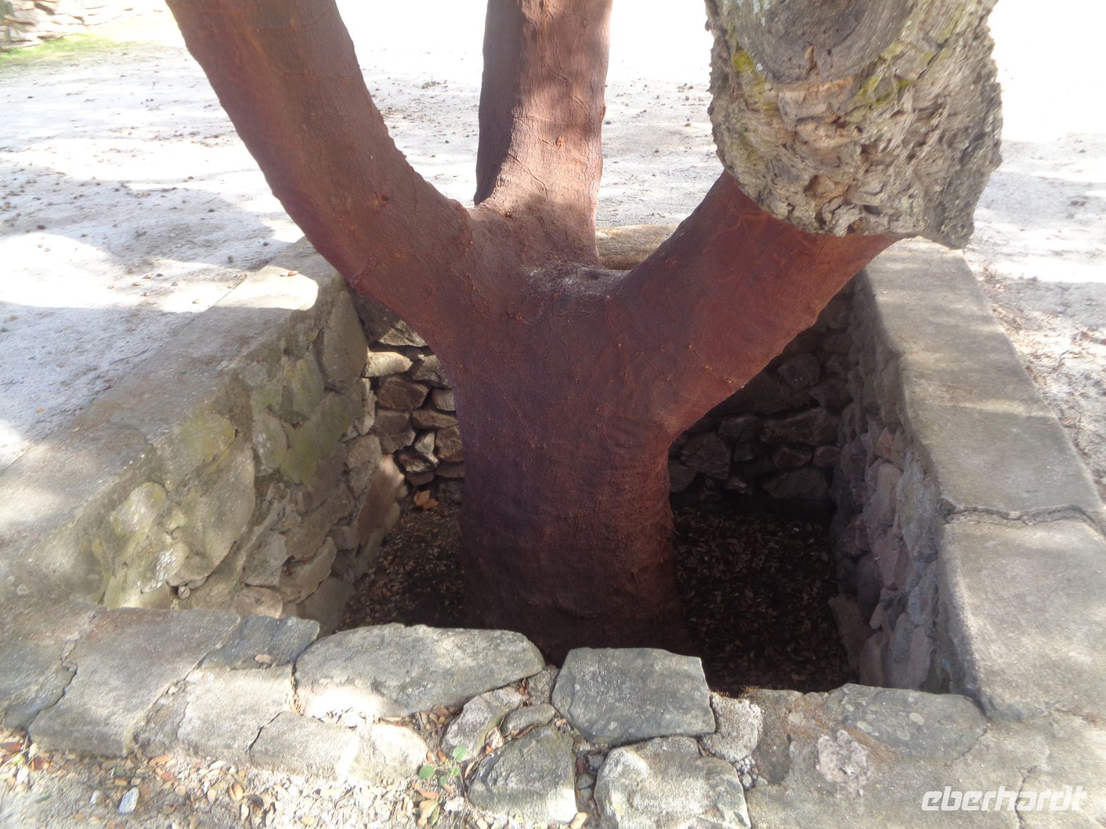 Azaruja, Korkfabrik Corticarte