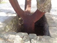 Azaruja, Korkfabrik Corticarte