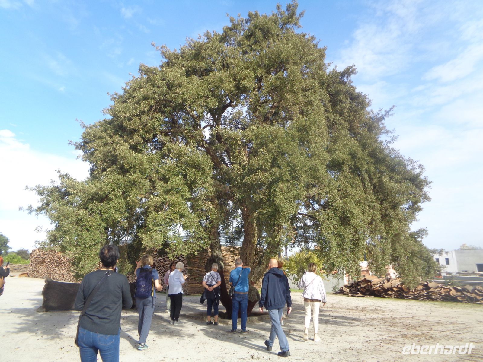 Azaruja, Korkfabrik Corticarte