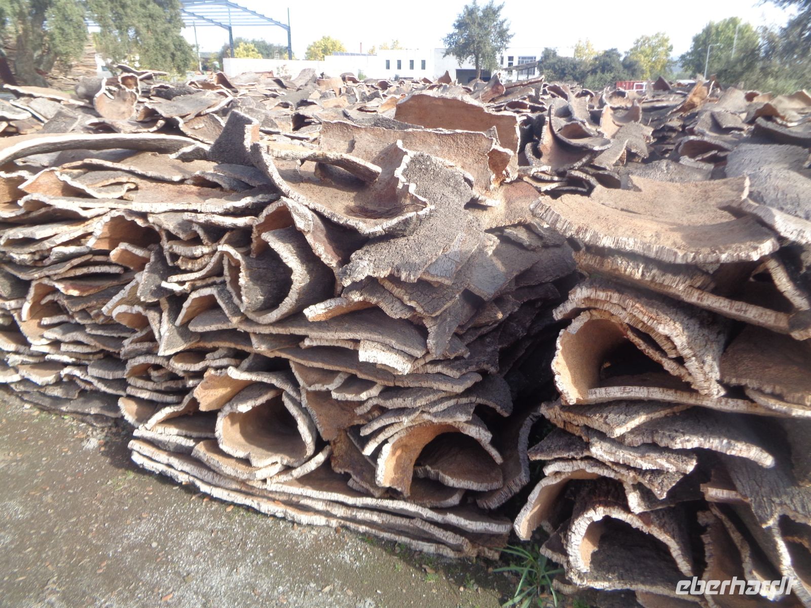 Azaruja, Korkfabrik Corticarte