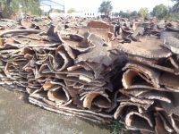 Azaruja, Korkfabrik Corticarte