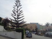 Armacao de Pera, Hotel Pestana Viking