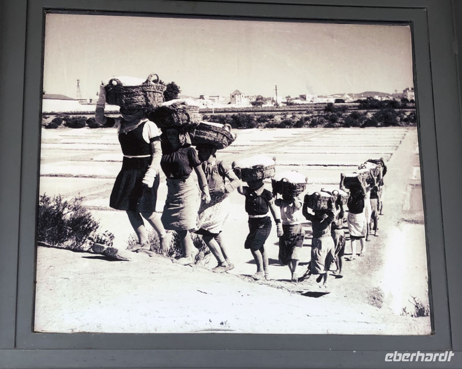 Bild am Wochenmarkt Olhao