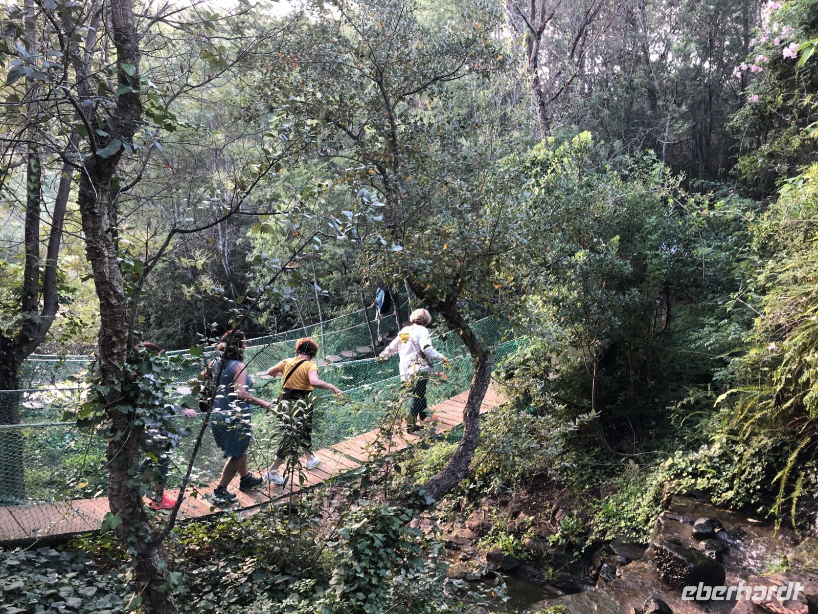 Hängebrücken-Abenteuer