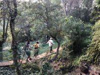 Hängebrücken-Abenteuer