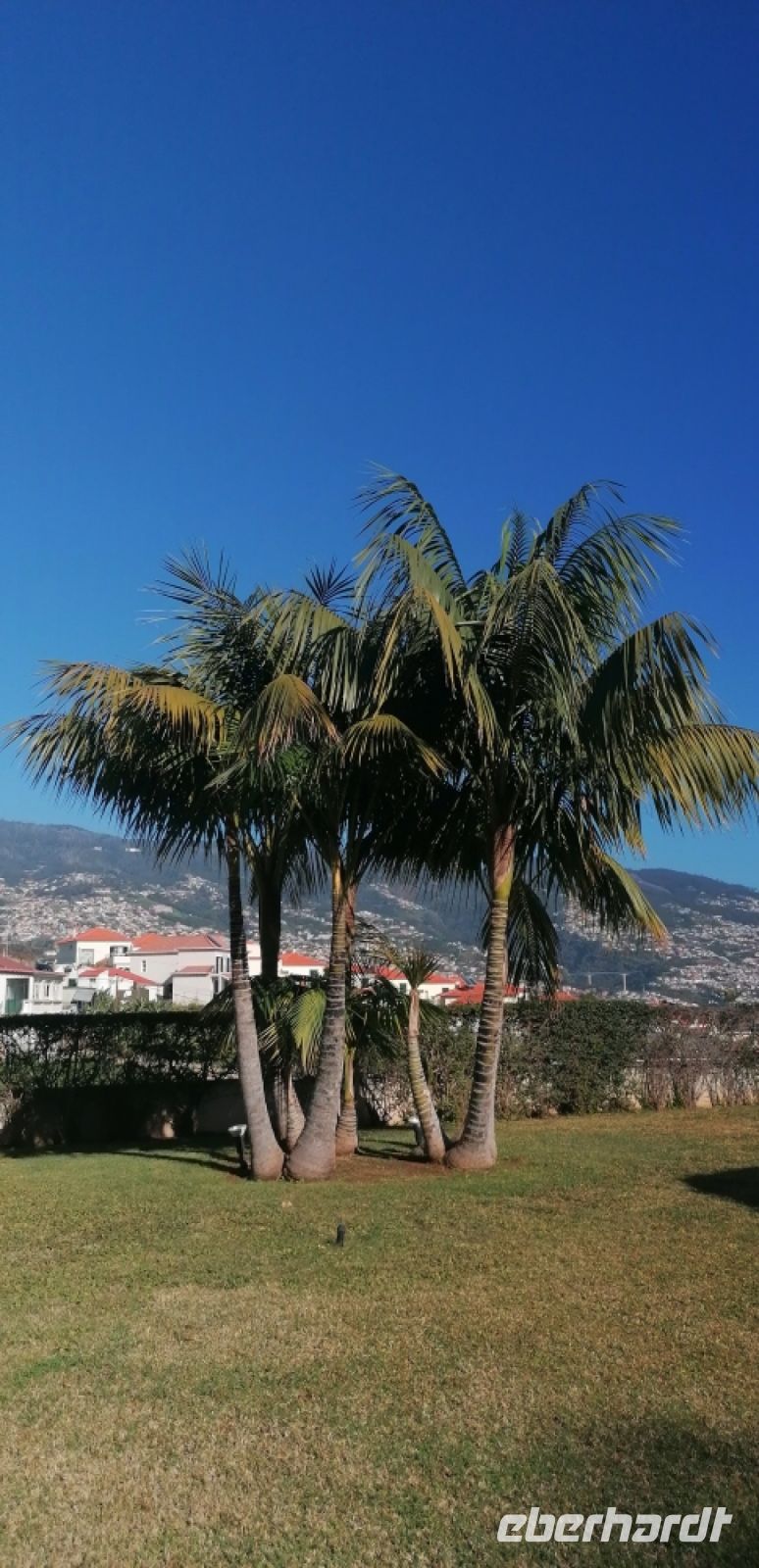 1 Ausblick vom Hotel Panoramico