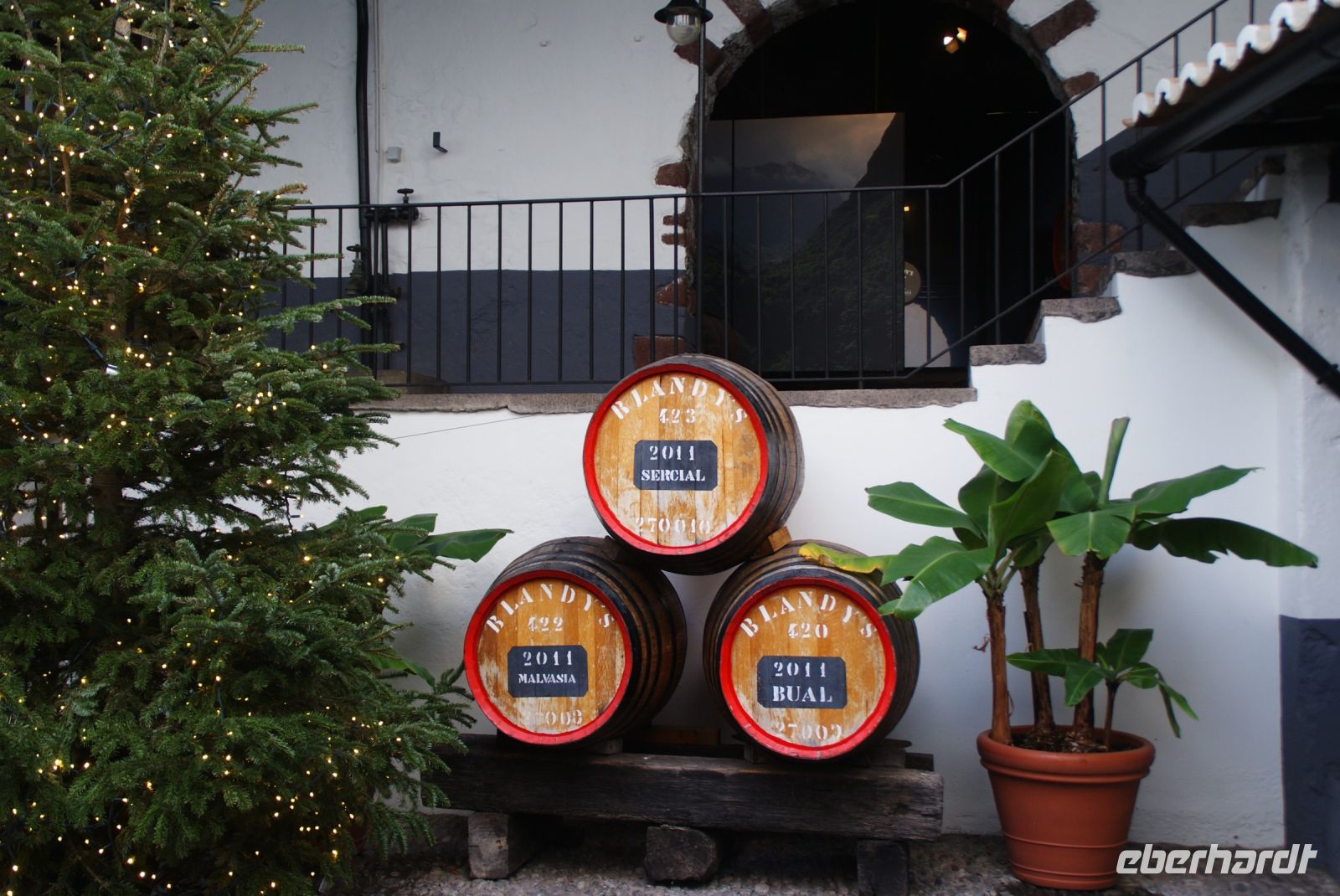 21 Madeira Weinfässer