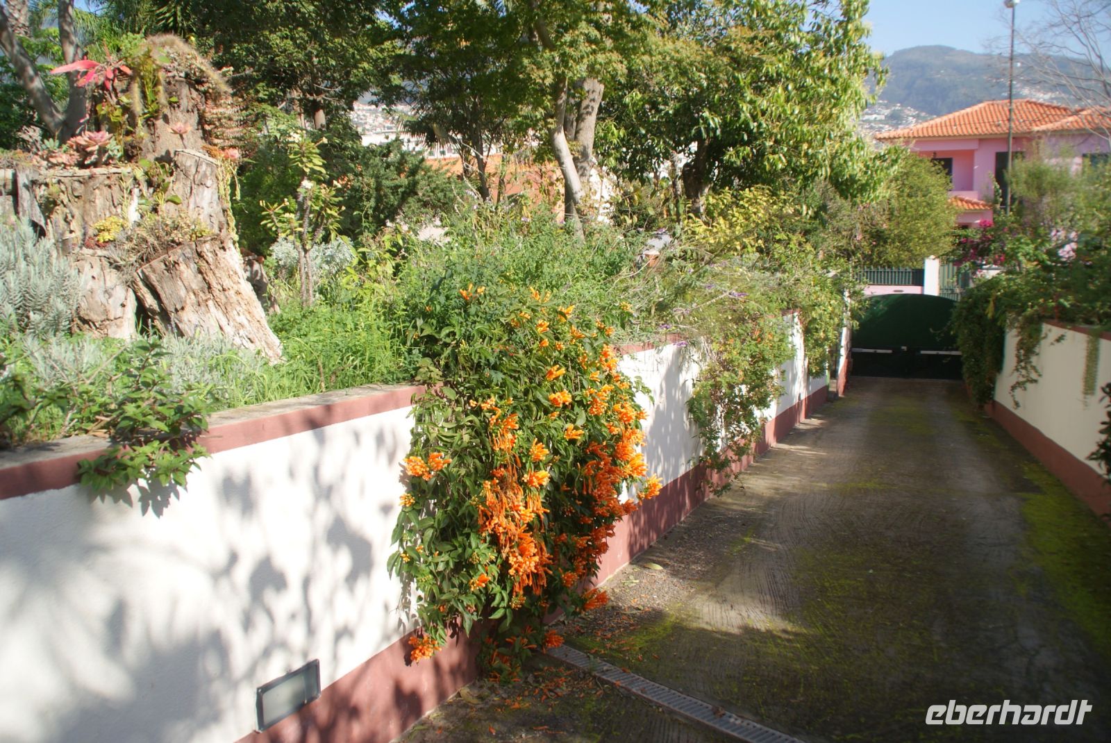 28 Esmeraldas Paradies