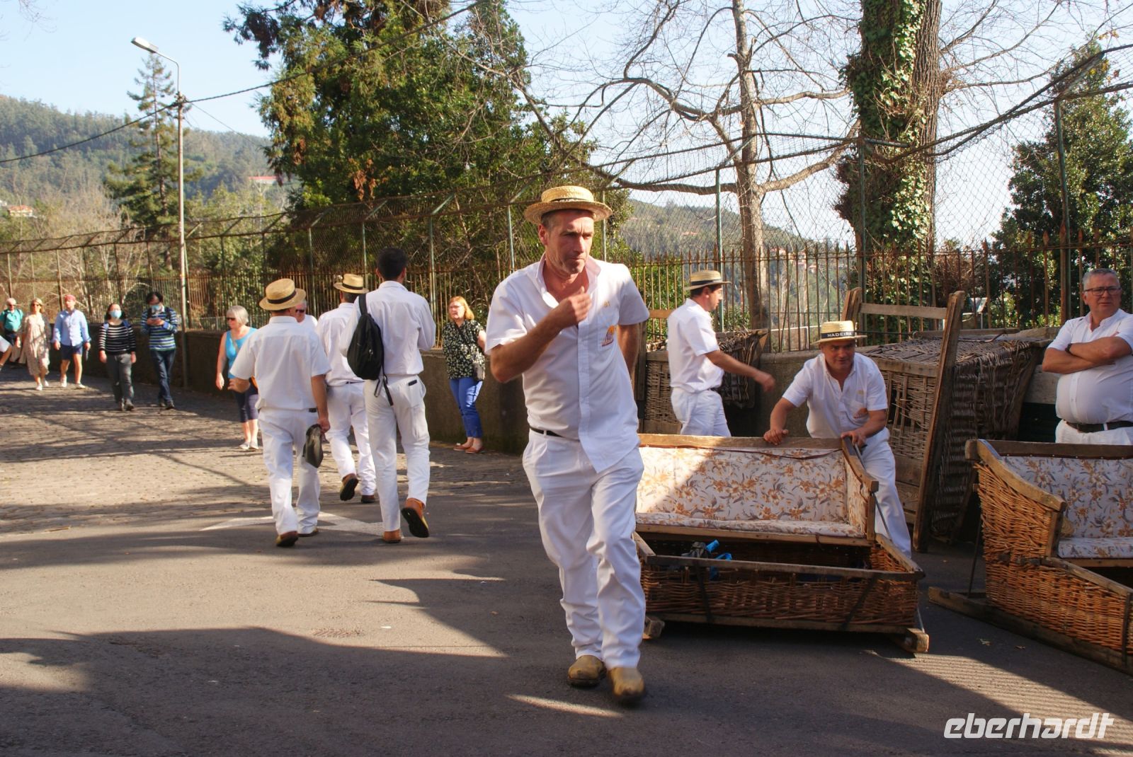 31 Korbschlittenfahrer