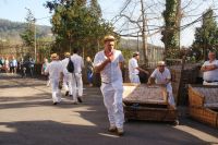 31 Korbschlittenfahrer