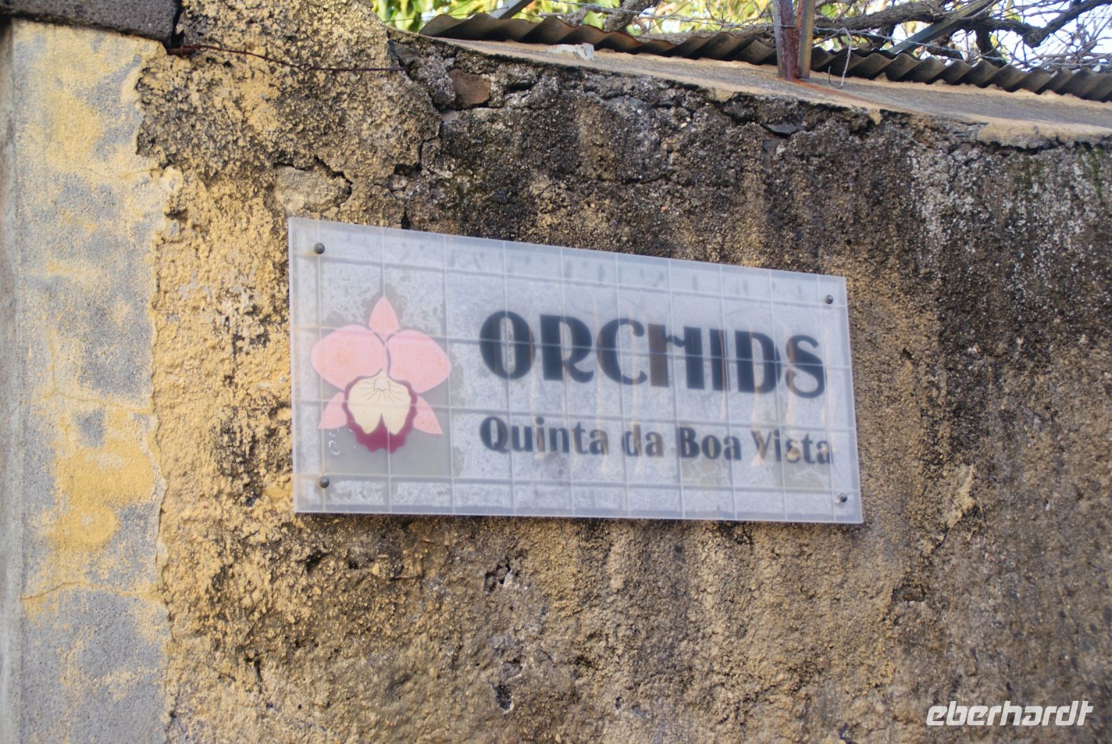 47 Besuch des Orchideengartens