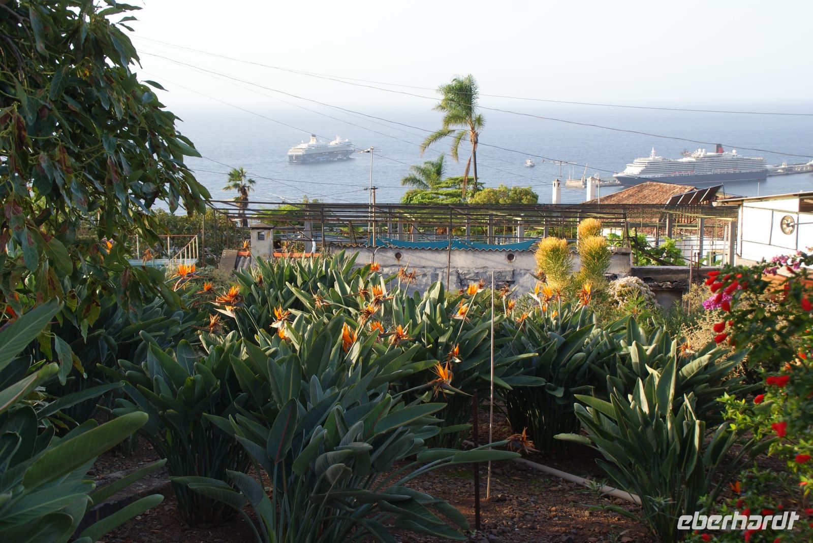 48 Blick auf Funchal