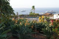 48 Blick auf Funchal