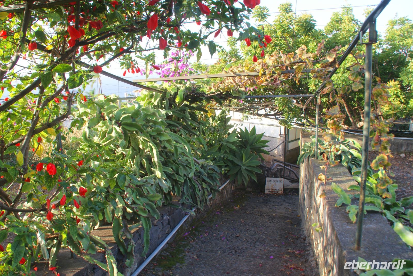 49 Besuch des Orchideengartens