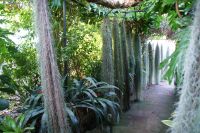 50 Besuch des Orchideengartens