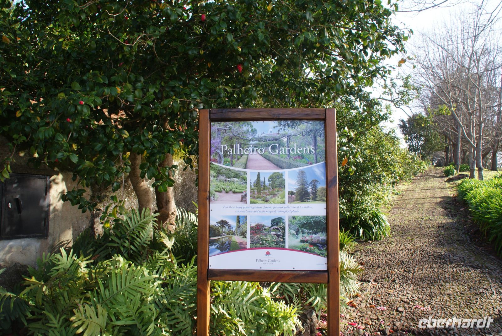 61 Besichtigung Palheiro Garden
