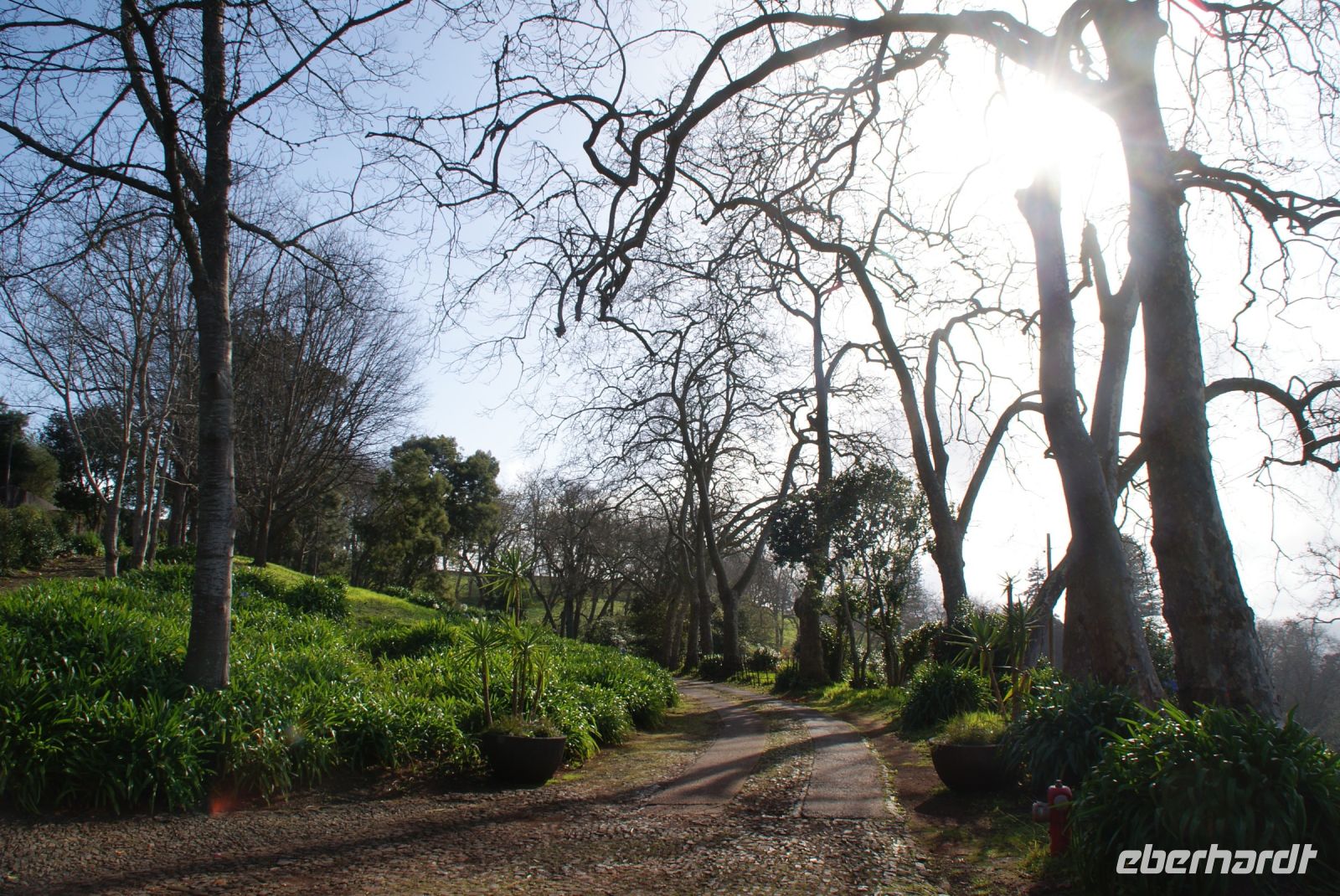 62 Palheiro Garden der Familie Blandy