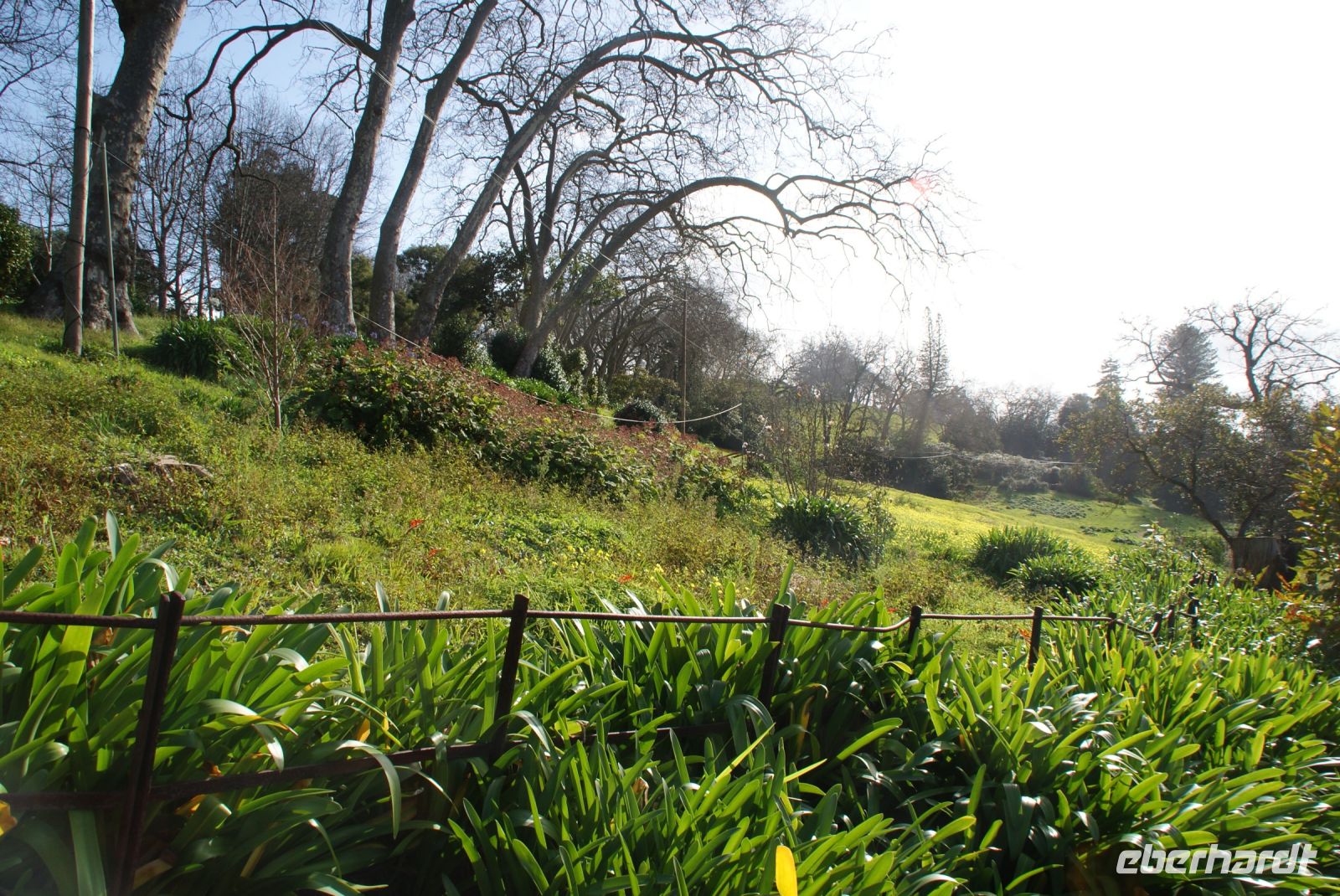 63  Palheiro Garden der Familie Blandy