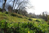 63  Palheiro Garden der Familie Blandy